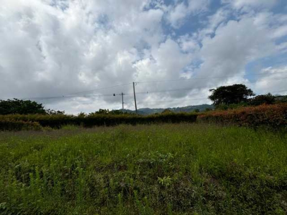 lote campestre santa rosa (4)