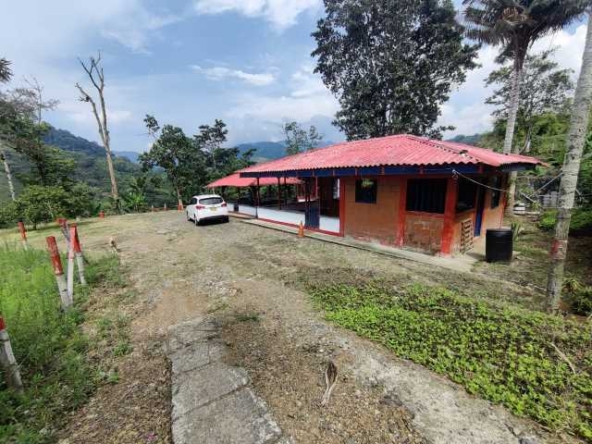 venta finca santa rosa de cabal (1)
