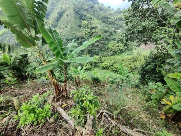venta finca santa rosa de cabal (8)