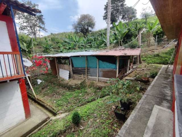 venta finca santa rosa de cabal (9)