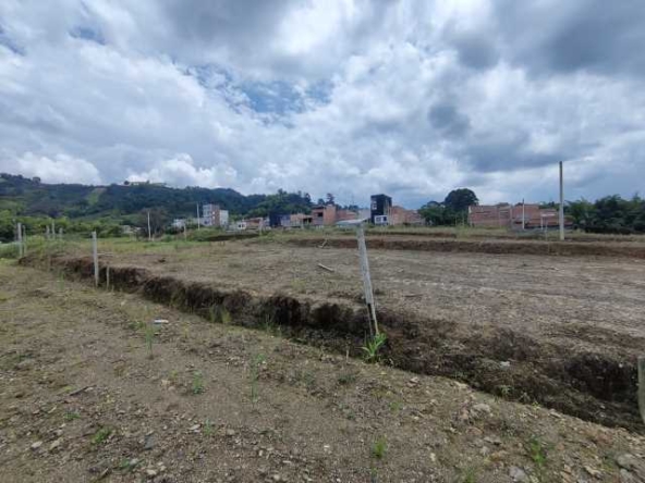 venta lote santa rosa de cabal (4)