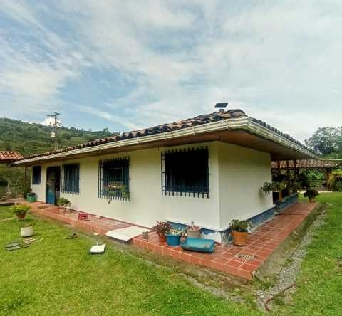 venta finca el lembo santa rosa de cabal (10)