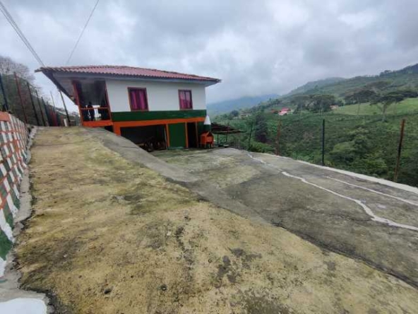 venta propiedad autopista del cafe santa rosa de cabal (3)