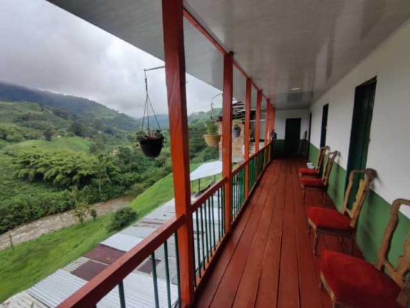 venta propiedad autopista del cafe santa rosa de cabal (8)